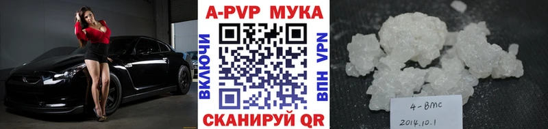 Альфа ПВП СК  Шахунья 