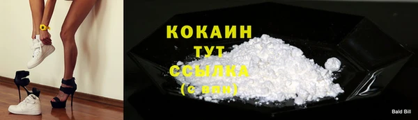 a pvp Абаза