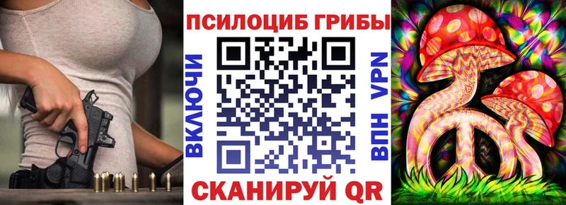Псилоцибиновые грибы Psilocybine cubensis OMG рабочий сайт Шахунья